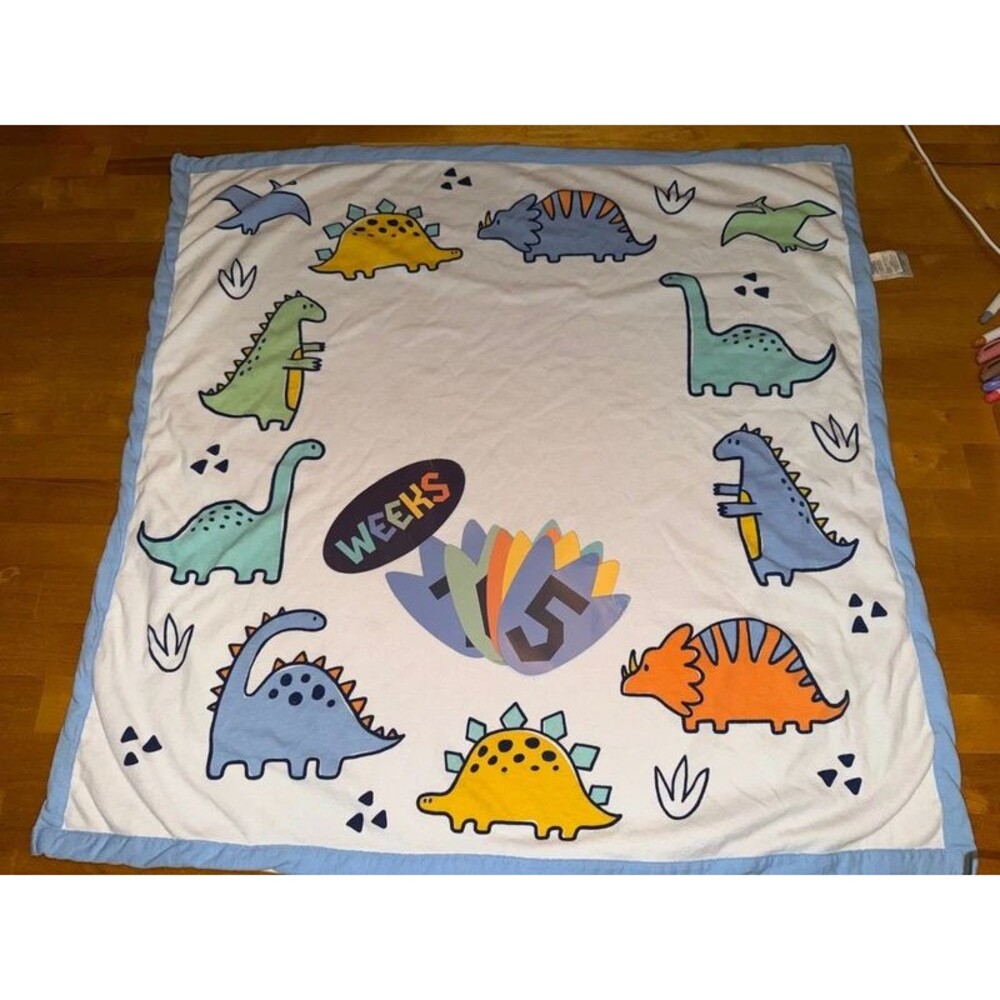 Baby Essentials Dinosaur Milestone Blanket